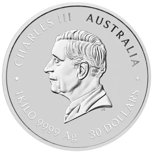 Snake 1.000 g Silver 2025