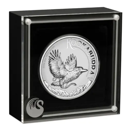 Kookaburra