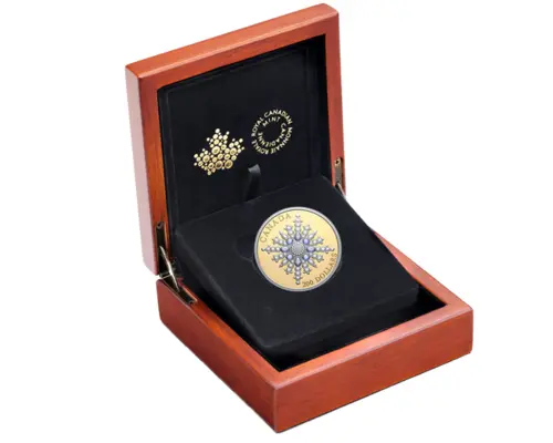 Snowflake Brooch