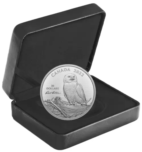 Snowy Owl on Driftwood 2 Ounce Silver