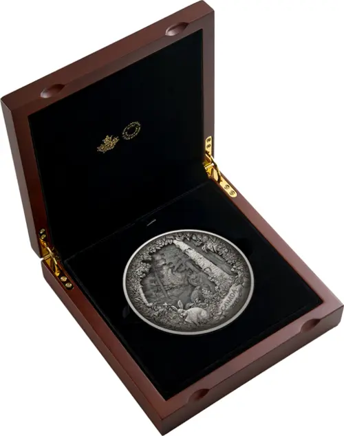 Predator or Prey in Shadow Box