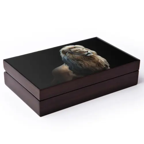 Big Five II - Lion Set
