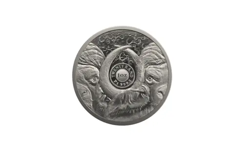 Buffalo