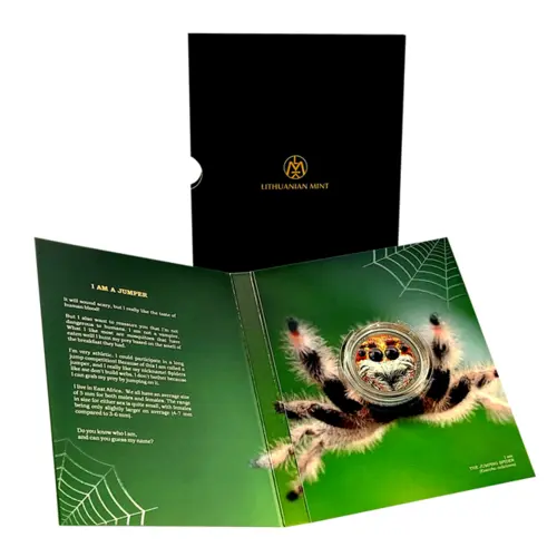Evarcha culicivora - Jumping Spider