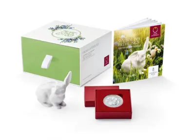Easter Bunny Set