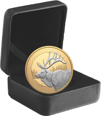 Elk