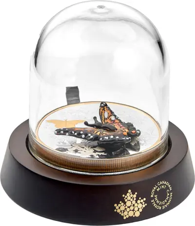 Monarch Butterfly