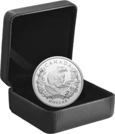 Special Edition Proof Dollar