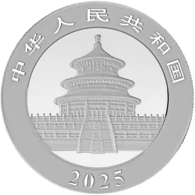 Panda 30 g Silver 2025