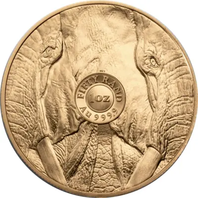 Elephant 1 Oz Gold 2024