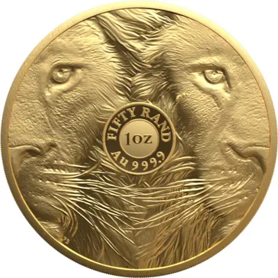 Big Five III - Lion
