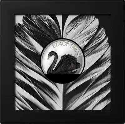 Black Swan