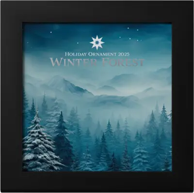 Winter Forest