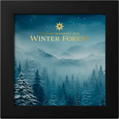 Winter Forest