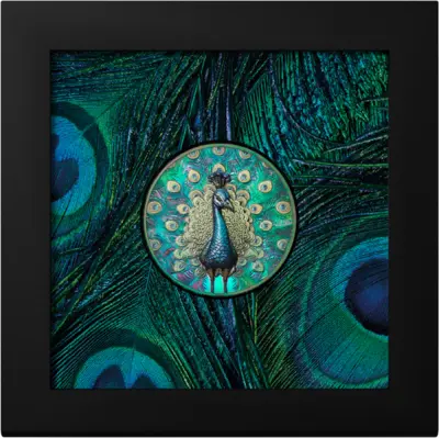 Peacock