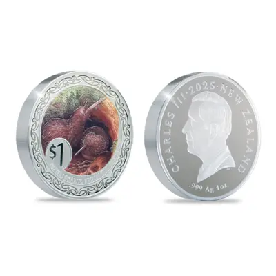 Kiwi 2025
