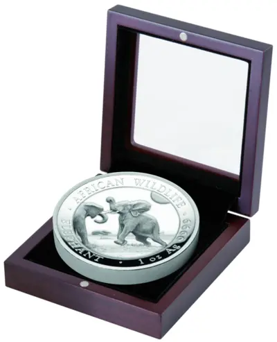 Elephant